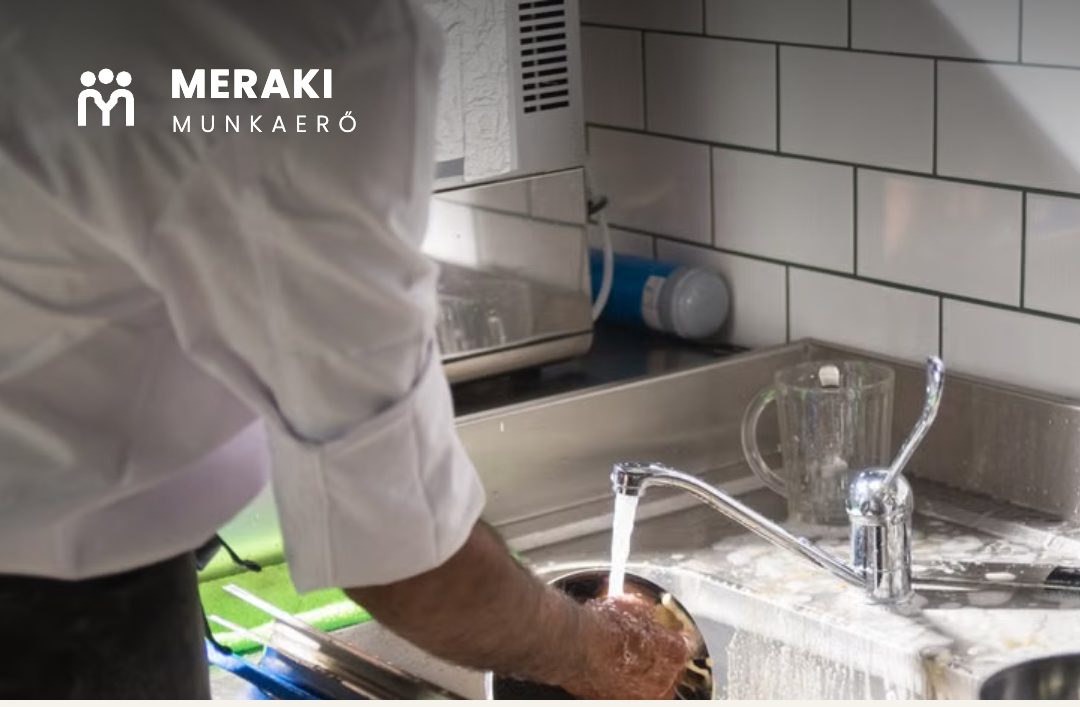 Mosogató — szállodai munka Budapesten, Meraki